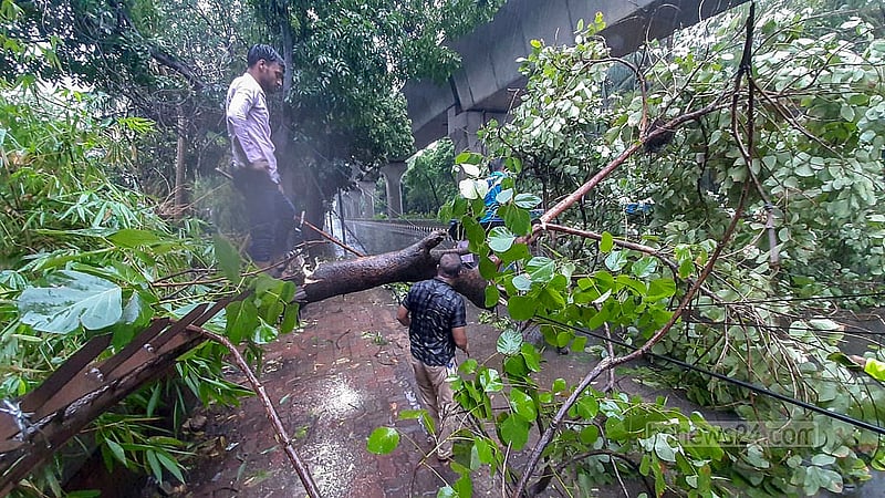 Fallen trees can be seen in the Dhaka University area after a day of heavy rain and strong winds brought on by Cyclone Remal on Monday, May 27, 2024.