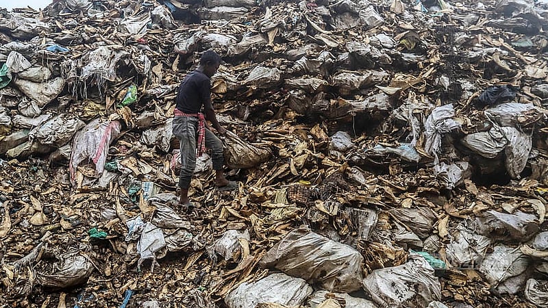 These factories meet about 50 percent of their demand using bones collected during Eid-ul-Azha. Photo: Abdullah al Momin