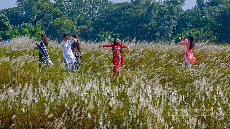 Several people enjoy the beauty of the Kashful field on an autumn afternoon at Keraniganj’s Sarighat.
