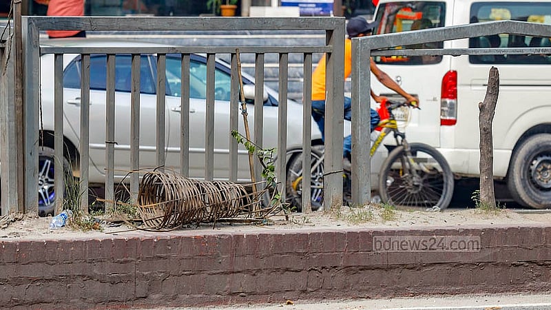 The trees recently planted to beautify the road divers in the Sobhanbag area of Dhaka’s Mirpur Road are in poor condition. Photo: Mahmud Zaman Ovi