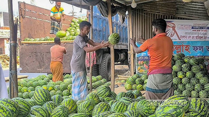 Traders and workers collect watermelons at the Mustafapur fruit warehouse in Madaripur. Photo: Ripon Chandra Mallick