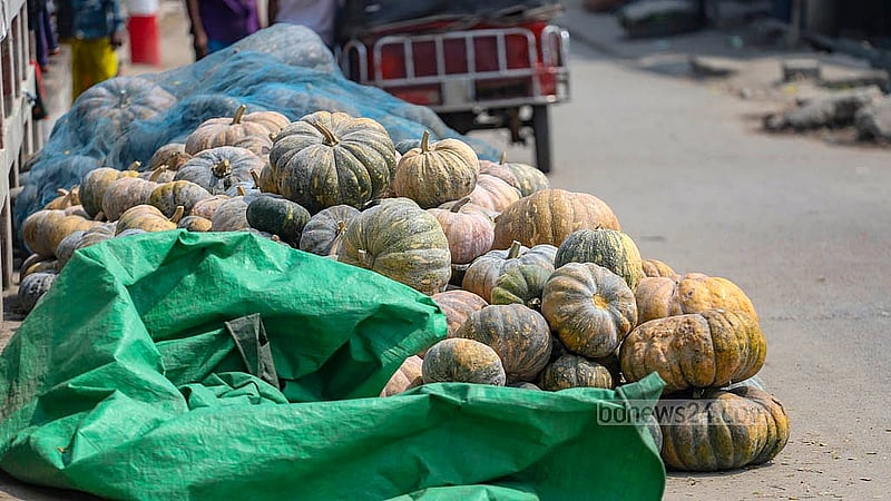 Harvested pumpkins from Arial Beel are stacked along the roadside, awaiting purchase by wholesalers from Dhaka. Photo: Abdullah Al Momin