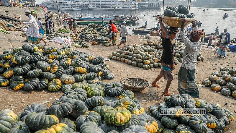 Pumpkins from Munshiganj’s Arial Beel arrive at Shyambazar Ghat in Old Dhaka. They are carried on heads to nearby wholesale markets. Photo: Abdullah al Momin