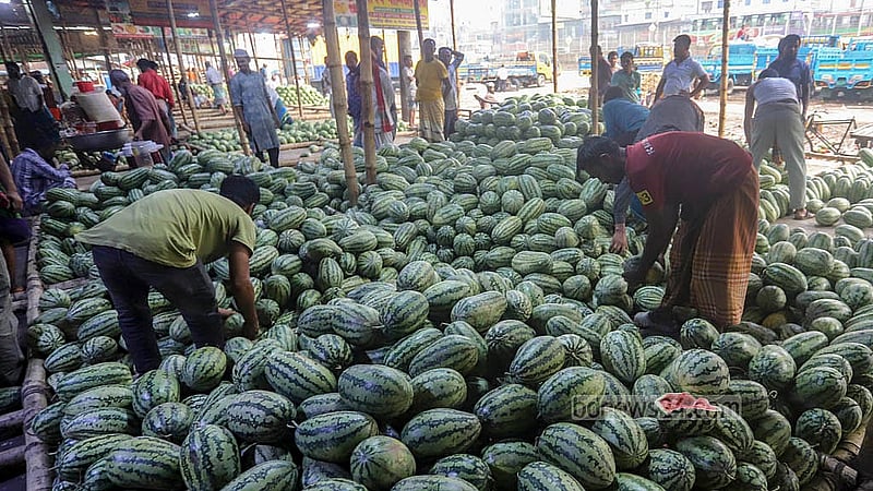 Watermelons from Khulna are being sold in bulk at the capital’s Jatrabari warehouse, with a hundred watermelons priced between Tk 2,000 and Tk 20,000, depending on size. Photo: Abdullah Al Momin