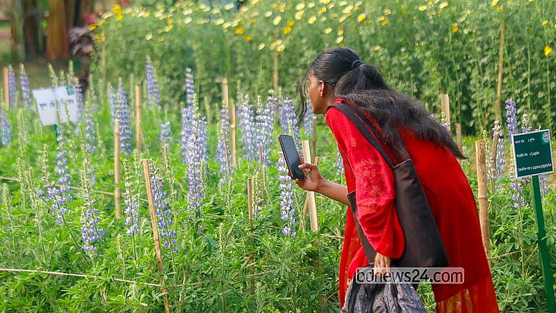Visitors take photographs of flowers at the festival in Ramna Park, an event that has drawn significant attention from Dhaka-dwellers. Photo: Abdullah al Momin