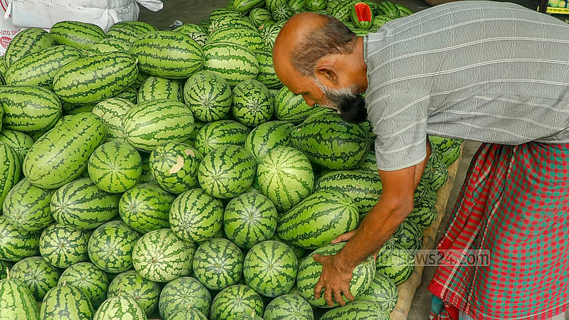 Watermelon sales are ongoing at the capital’s Jatrabari warehouse. Each kilogram is being sold for Tk 40-60, depending on the size. Photo: Abdullah Al Momin