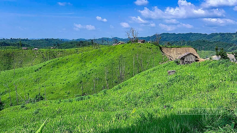 Jhum crops are farmed on a hill in the Barkal area of Rangamati. Photo: Samir Mallik