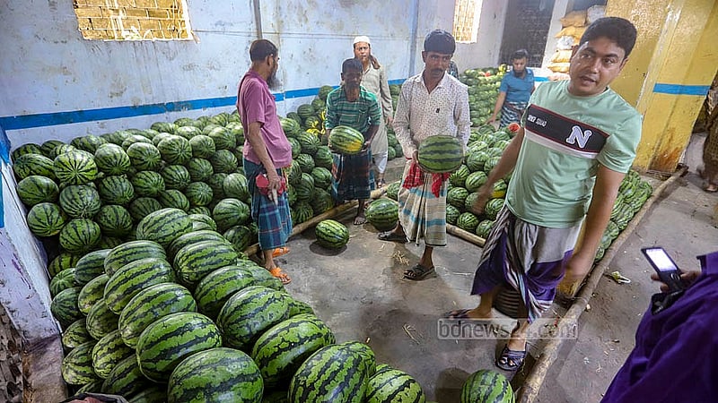 Inside a warehouse at Badamtoli Ghat, workers stack watermelons shipped from Gowainghat in Sylhet. These early arrivals are in high demand as the season’s first fruits reach the market. Photo: Abdullah Al Momin