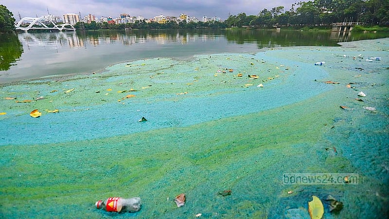 Garbage piled up in Hatirjheel water in the Kunipara area of Dhaka’s Tejgaon is rotting and emitting a foul smell. Photo: Abdullah Al Momin