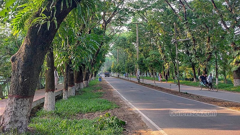 Rows of beautiful trees line both sides of the nearly one-kilometre-long road from the main gate of Shahjalal University to the roundabout.