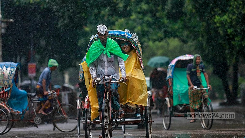 A rickshaw puller partly wrapped in polythene carrying passengers to their destinations amid heavy downpour in Dhaka University area on Thursday, Sept 26, 2024.Photo: Mahmud Zaman Ovi