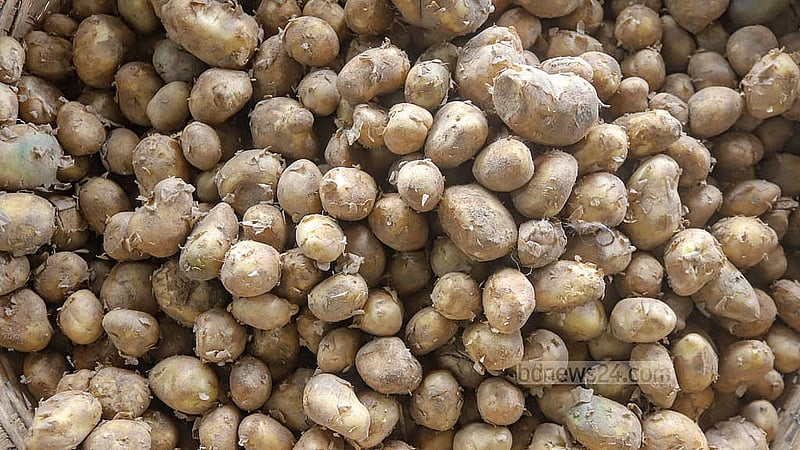 New potatoes are being sold at Tk 450 for 5 kg. Photo: Abdullah al Momin