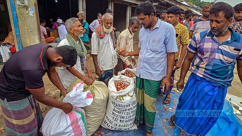 Onion farmers in Faridpur say they would not face financial losses if the onions are sold at Tk 2,000 to Tk 2,200 per maund. Photo: Sheikh Mofijur Rahman Shipon