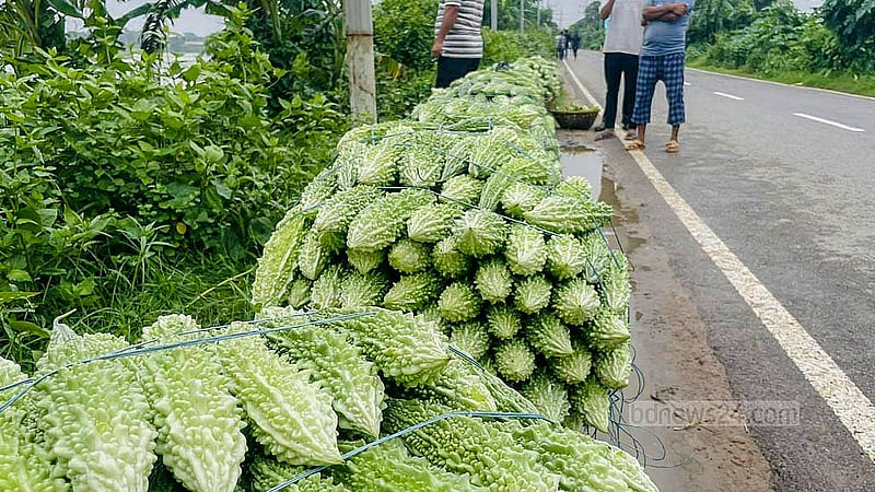 Farmers sit beside the road hoping to sell vegetables salvaged from flooded fields in Cumilla Sadar Upazila's Amtoli. Photo: Tanvir Dipu