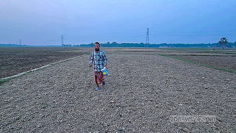 A farmer sows jute seeds in a field under the hot sun in Faridpur Sadar Upazila. Photo: Sheikh Mofijur Rahman Shipon