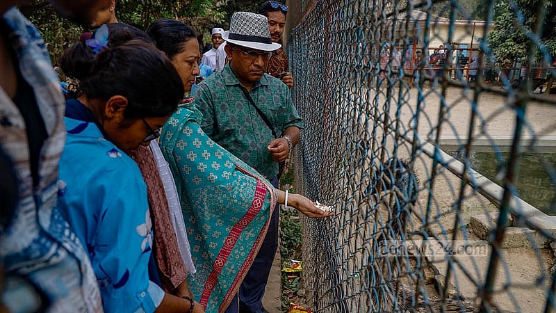 A visitor tries to feed an ostrich by lifting his hand through the cage while visiting the National Zoo in Dhaka's Mirpur during the Eid break, which is prohibited. Photo: Mahmud Zaman Ovi