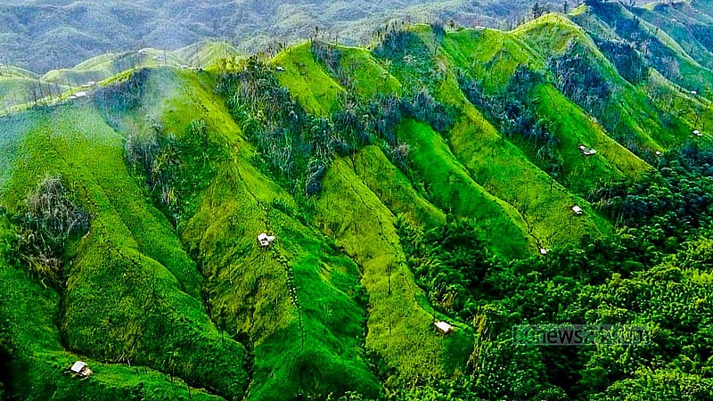 Jhum farming is conducted on a hill in Rangamati’s Barkal area. Small huts made of bamboo can be seen dotted among the hills. These are used to store the harvested crops. Photo: Samir Mallik