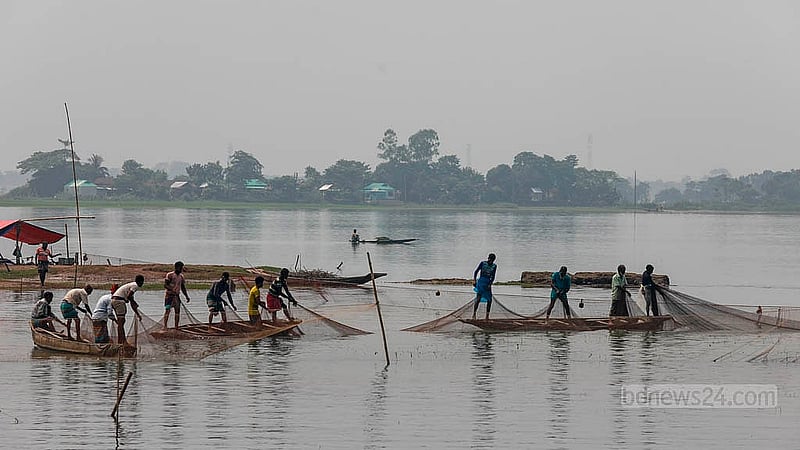As winter nears in Bangladesh, the water levels of Tanguar Haor, the country's second-largest freshwater wetland, have begun to decrease. Fishermen are using big nets to catch fish in the clear waters. Photo: Mahmud Zaman Ovi