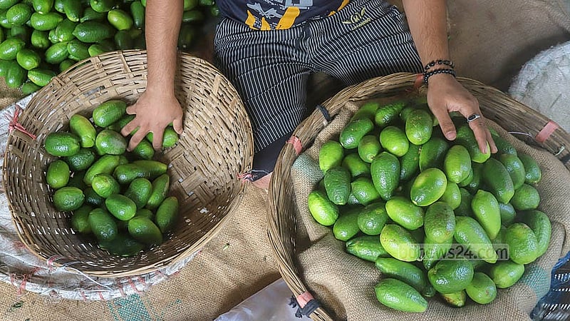 A hundred large lemons cost Tk 500 to Tk 600. Photo: Abdullah al Momin