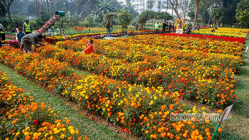 For the first time, the Public Works Department has organised a Flower Festival at Ramna Park in Dhaka. The three-day event features 29 varieties of flowers from home and abroad. Photo: Abdullah al Momin