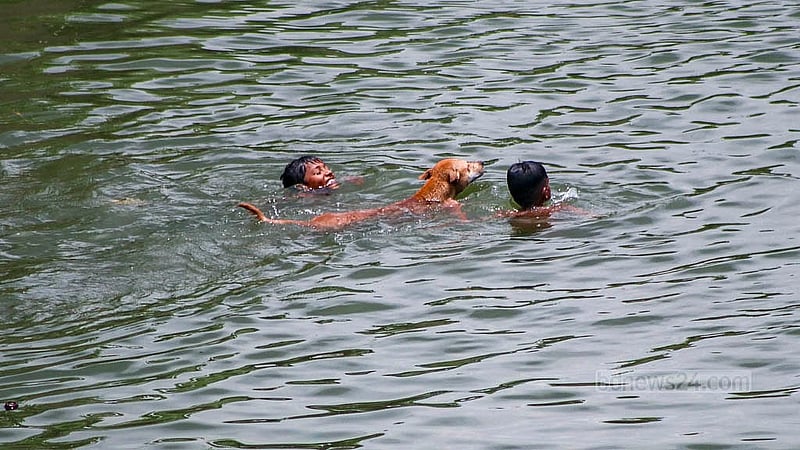 Amid the intense heat, children and teenagers go to the lake near the Purbachal Expressway in Dhaka on Wednesday, May 28, 2025. A dog also joins them. Photo: Shamim-Us-Salehin