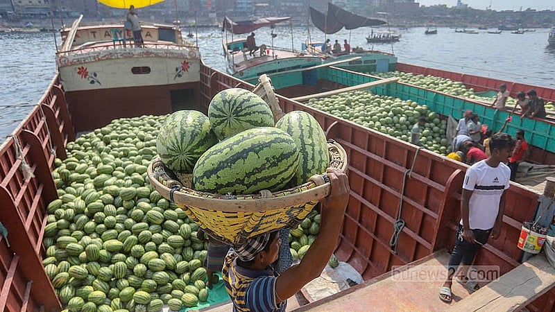 Labourers unload watermelons from trawlers at Waisghat. A huge number of watermelons arrive every day from the south of the country. Photo: Abdullah al Momin