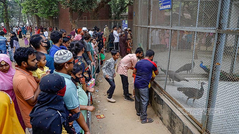 Visitors who came to the National Zoo in Dhaka's Mirpur crossed the boundary outside the peacock cage to take photographs, which is completely prohibited. Photo: Mahmud Zaman Ovi