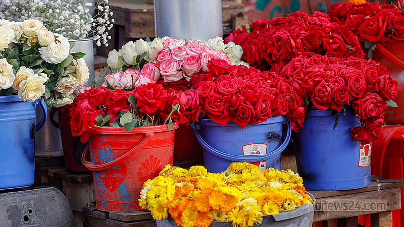 Roses remain the most sought-after flower at Shahbagh. On Friday, Feb 13, 2026, each red rose sold for Tk 40–50, compared with the usual Tk 15–20 on ordinary days. Photo: Mahmud Zaman Ovi
