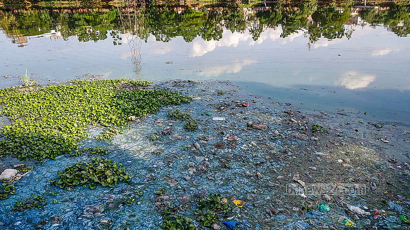 Pollution has turned parts of Hatirjheel water murky and discoloured. Photo: Mahmud Zaman Ovi