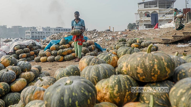 A trader holds a pumpkin at Shyambazar in Old Dhaka. Many farmers bring the pumpkins directly from Munshiganj’s Arial Beel. Photo: Abdullah al Momin