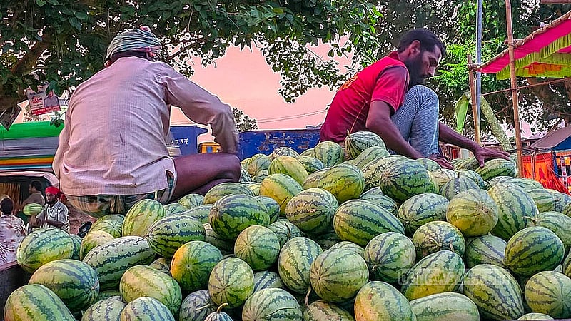 Local farmers have lined the highways with colourful displays of freshly harvested watermelons. Photo: Tariqul Hasan