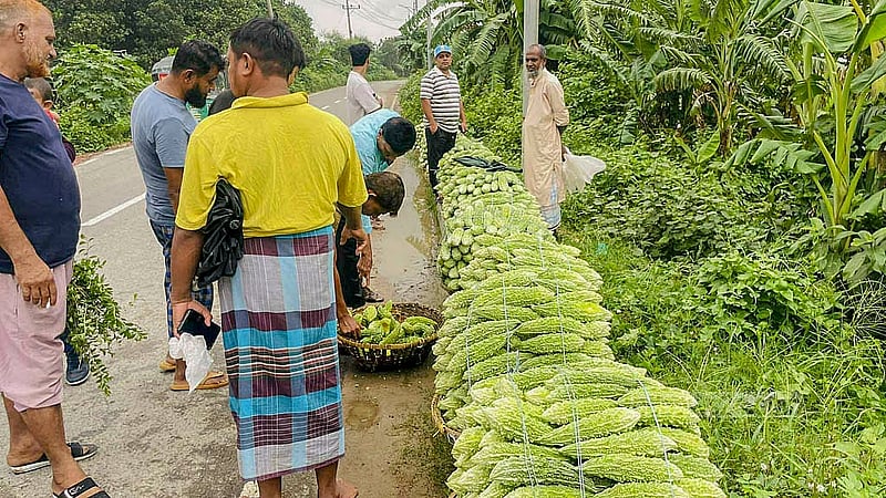 Farmers sit beside the road hoping to sell vegetables salvaged from flooded fields in Cumilla Sadar Upazila's Amtoli. Photo: Tanvir Dipu