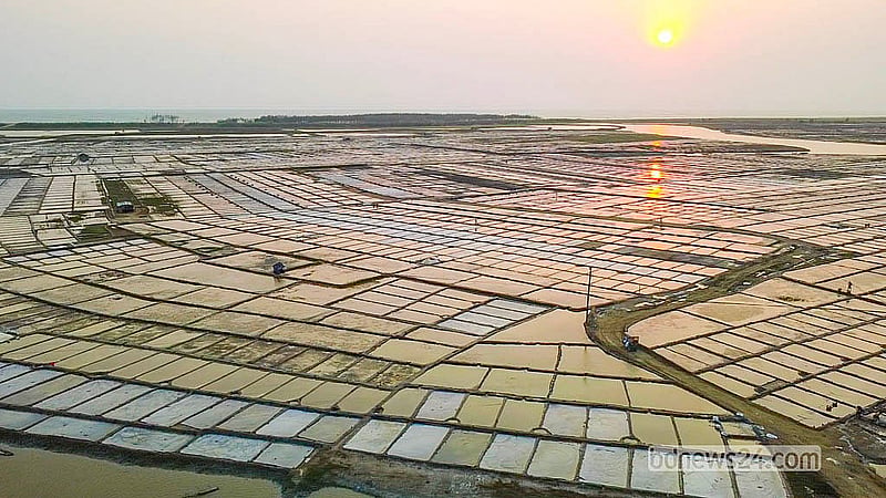 In the current season, salt has been cultivated on 68,505 acres of land in Cox's Bazar Sadar, Kutubdia, Moheshkhali, Pekua, Chakaria, Eidgaon, Teknaf Upazilas and Chattogram’s Banshkhali Upazila. Photo: Jashim Mahmud