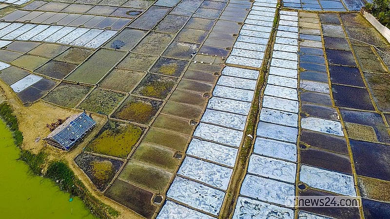 This season, salt has been cultivated on 4,550 acres of land in Teknaf. Photo: Jashim Mahmud