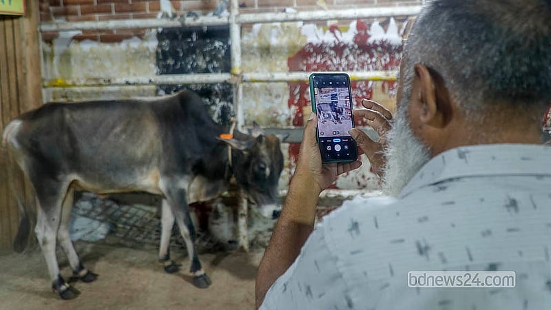 Buyers take photos on mobile phones after purchasing cattle from a farm in Mohammadpur’s Bosila. Photo: Abdullah Al Momin