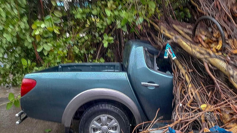 A tree falls onto a car amid the gusty winds and heavy rain brought on by Cyclone Remal in Dhaka’s Green Road area on Monday, May 27, 2024.