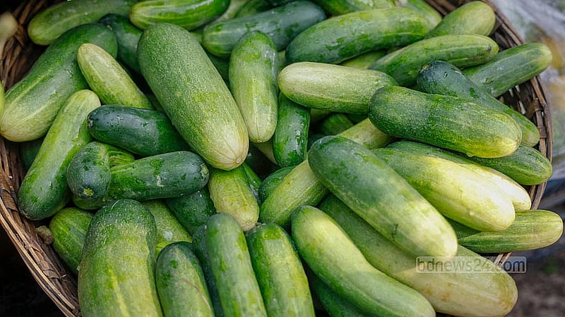 Cucumbers are in the highest demand among vegetables during the month of Ramadan, and they are being sold at Tk 100 to Tk 120 per kg in Dhaka’s Hatirpool market on Thursday, Feb 19, 2026. Photo: Mahmud Zaman Ovi