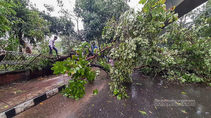Fallen trees can be seen in the Dhaka University area after a day of heavy rain and strong winds brought on by Cyclone Remal on Monday, May 27, 2024.