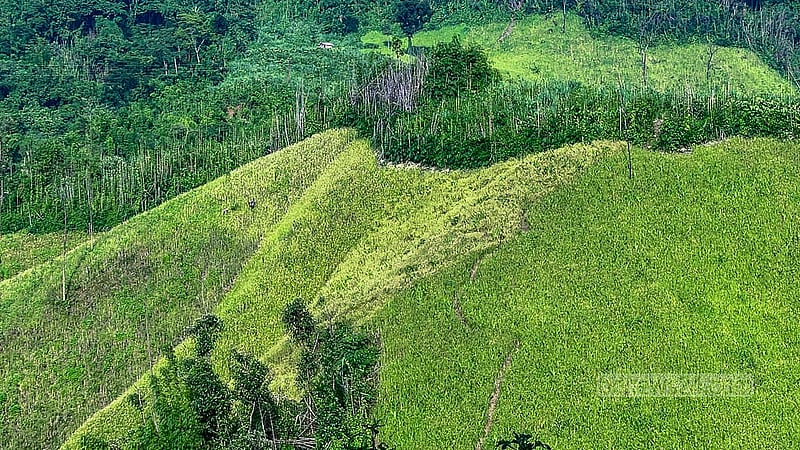 Jhum farming is carried out on different hills in Rangamati’s Barkal area. Photo: Samir Mallik