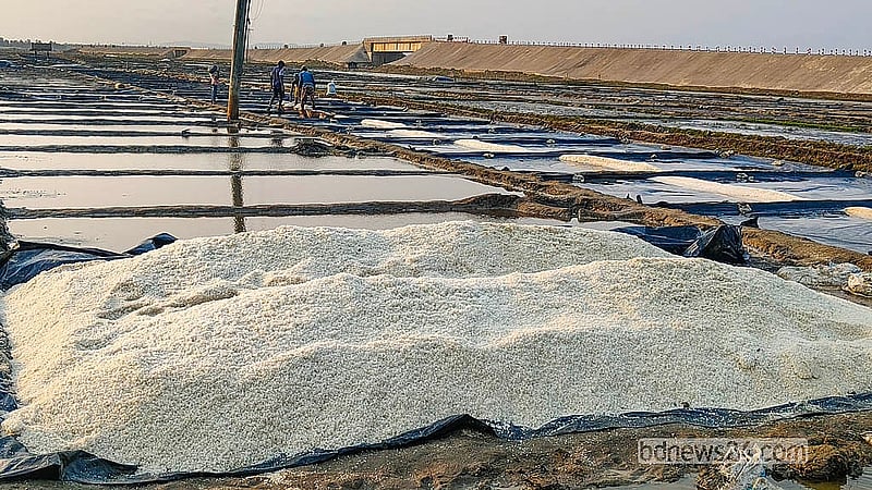 Salt has been collected from the fields and piled up on the island of Shah Porir Dwip off the Teknaf coast in Cox's Bazar. Photo: Jasim Mahmud