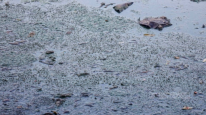 Heaps of rubbish are visible throughout Hatirjheel, giving off a strong, unpleasant odour. Photo: Mahmud Zaman Ovi