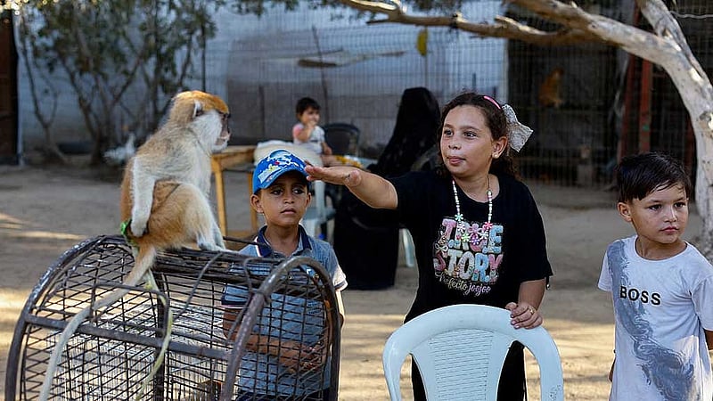 Young Palestinians stand near a monkey during a visiting to a zoo in Nuseirat, in the central Gaza Strip, Aug 6, 2026. REUTERS/Mahmoud Issa