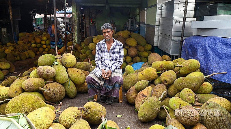 Jackfruits from across the country are on sale at Karwan Bazar.  Photo: Shamsul Haque Ripon