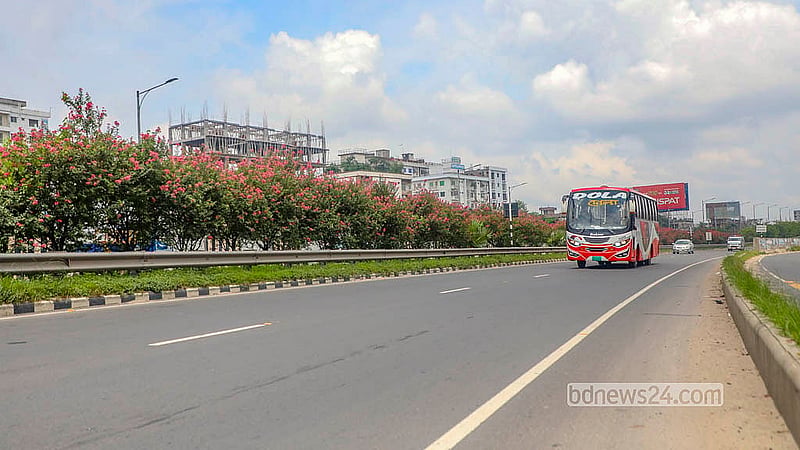 Flowering trees along the Mawa-Bhanga Expressway add a splash of colour and charm to the highway. Photo: Abdullah Al Momin