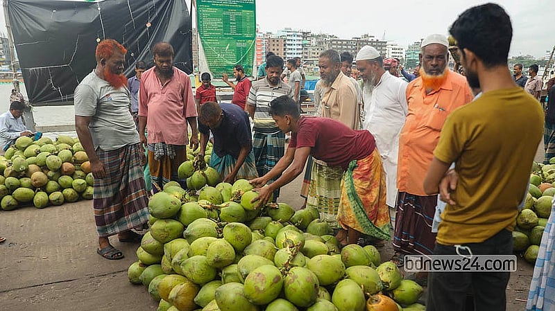 Buyers inspect the size and quality of coconuts piled high at the wholesale market before bargaining over prices. Photo: Shamsul Haque Ripon
