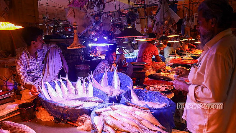 Hilsa are displayed for sale at a fish stall in Karwan Bazar. Traders say supplies have improved, but prices of larger fish remain high. Photo: Shamsul Haque Ripon