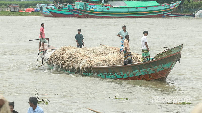 Wholesalers buy jute from Dighirpar Market in Munshiganj and load it onto boats.  Photo: Shamsul Haque Ripon