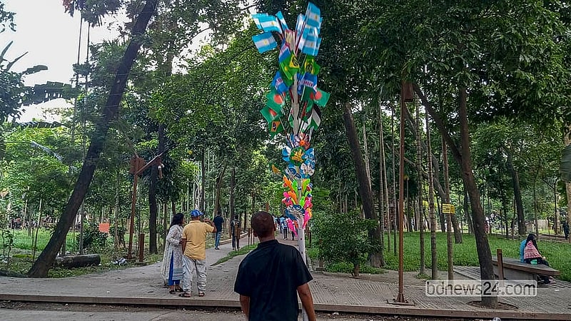 A hawker selling World Cup flags near the University of Dhaka as fans prepare to back their favourite teams. Photo: Abdullah Al Momin