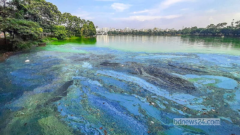 Excessive pollution and decaying waste spread a foul odour across the area near the floating bridge of Hatirjheel Lake.   Photo: Abdullah Al Momin