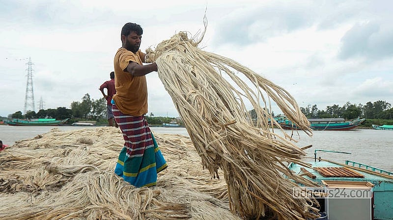 Farmers and wholesale buyers are busy unloading and selling jute from boats at Dighirpar Market in Munshiganj.  Photo: Shamsul Haque Ripon